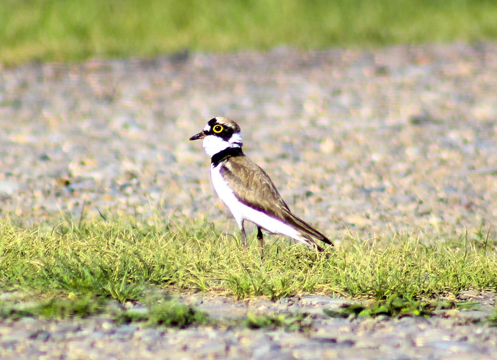 Photograph by Ulzii Ulziibat