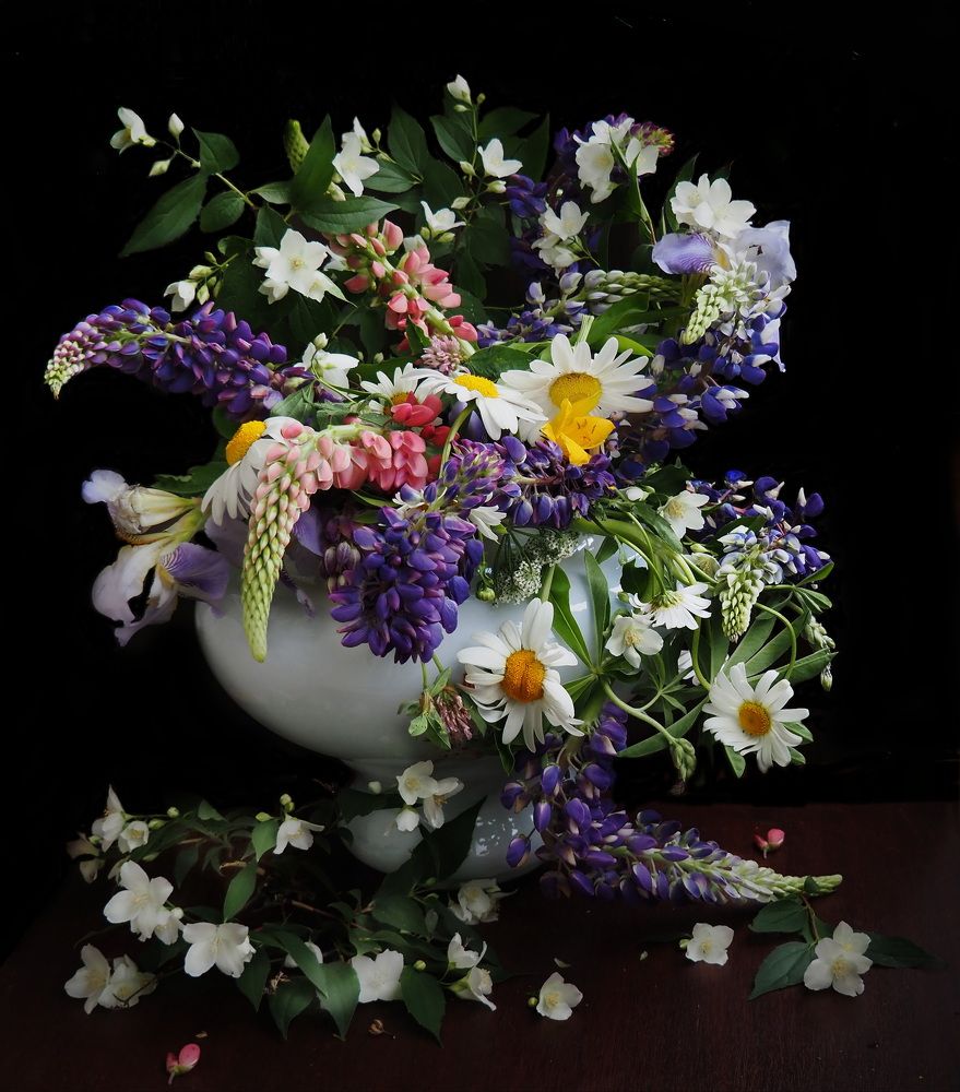 Photograph by Людмила