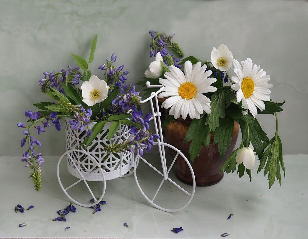 Photograph by Людмила