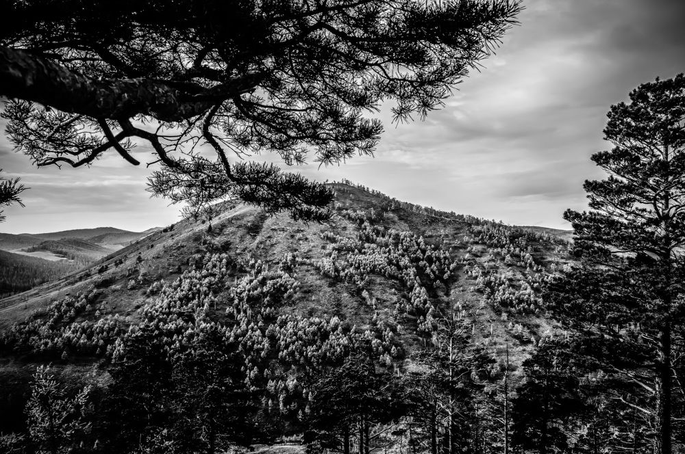 Photograph by Алексей Митрофанов