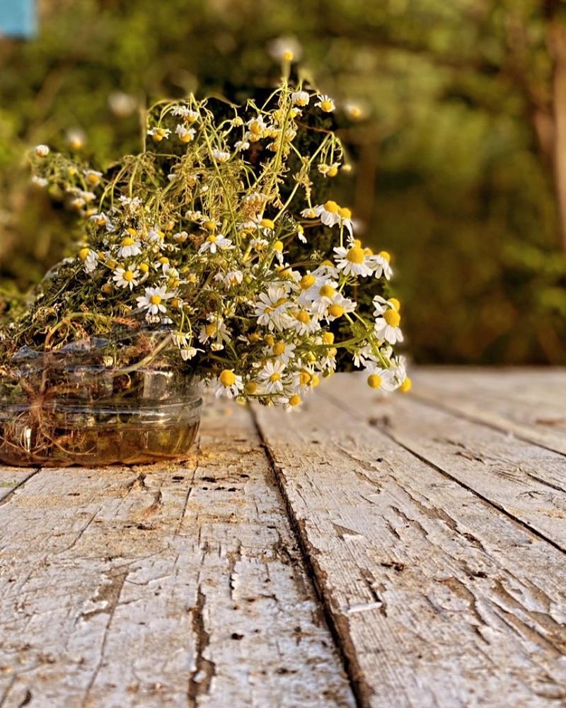 Photograph by Оксана Лукьянова