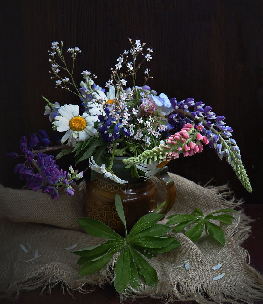 Photograph by Людмила