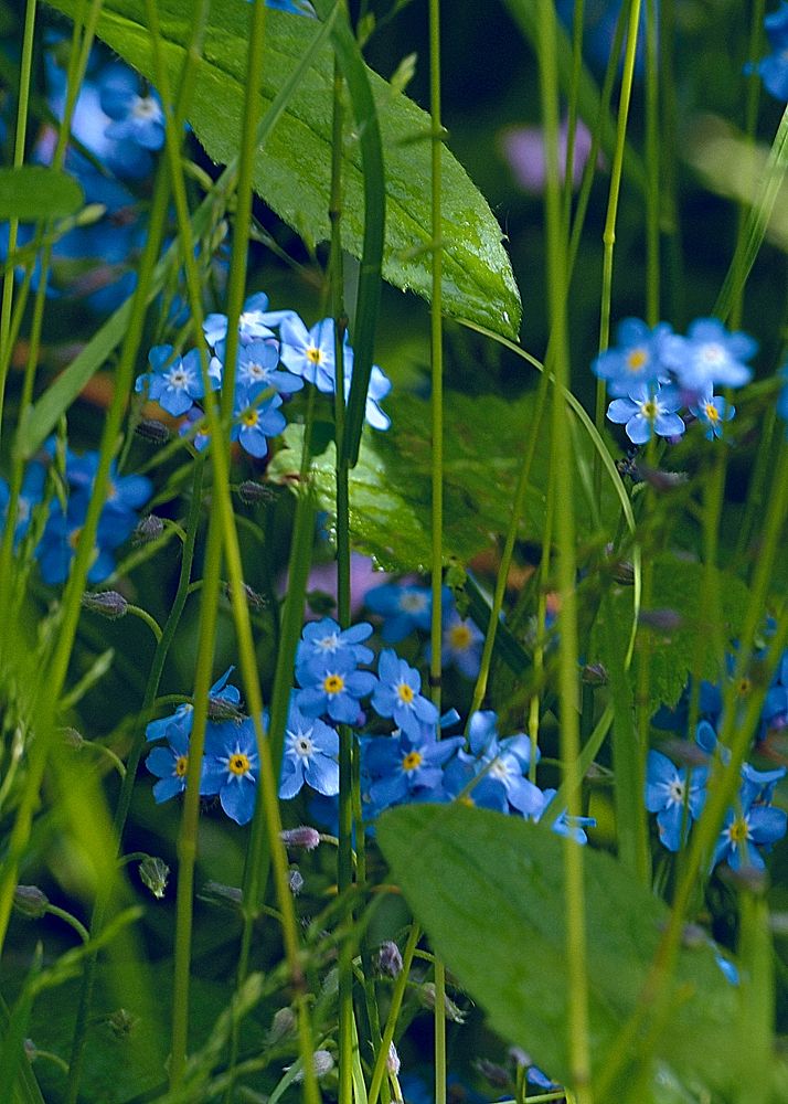 Photograph by Илья Чирков