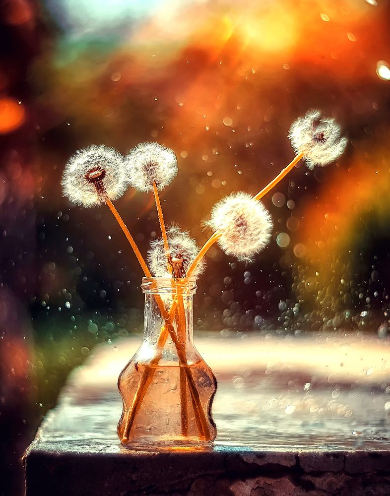 Photograph by Ксения Базарова