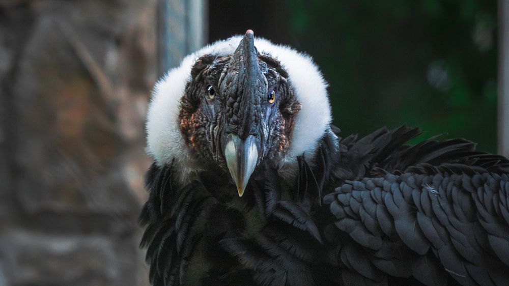 Photograph by Artem Khazov