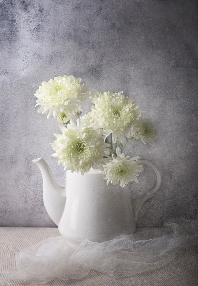 Photograph by Tatiana Kravchuk