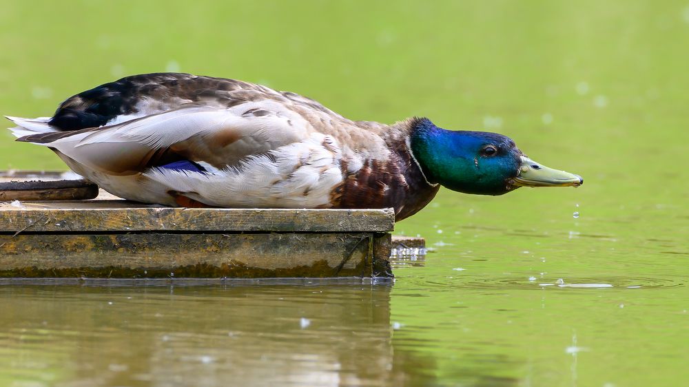 Photograph by Вячеслав Белов