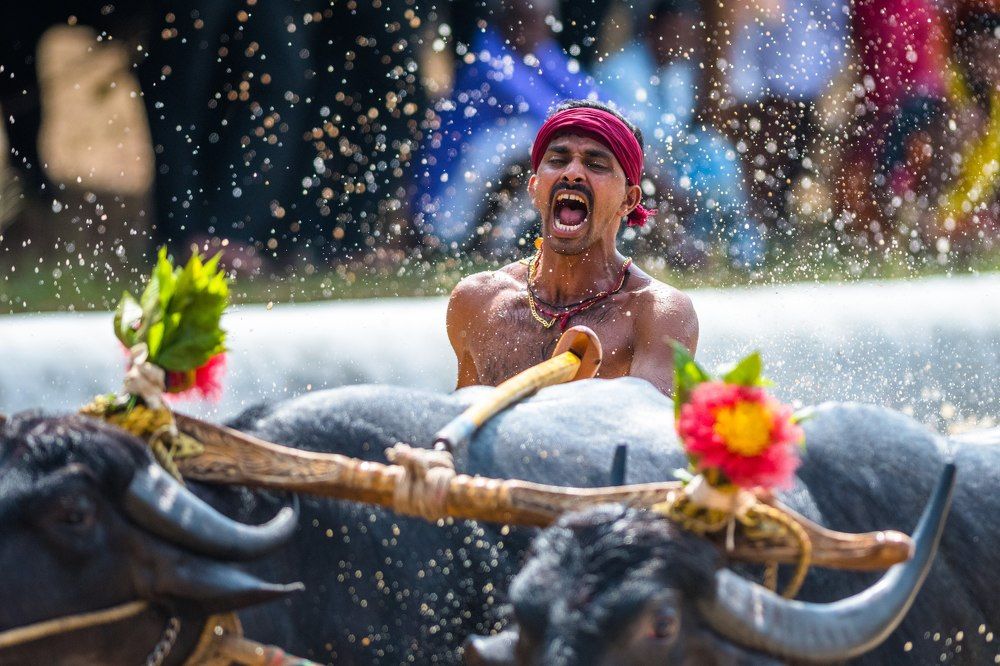 Photograph by Ranjith Kumar