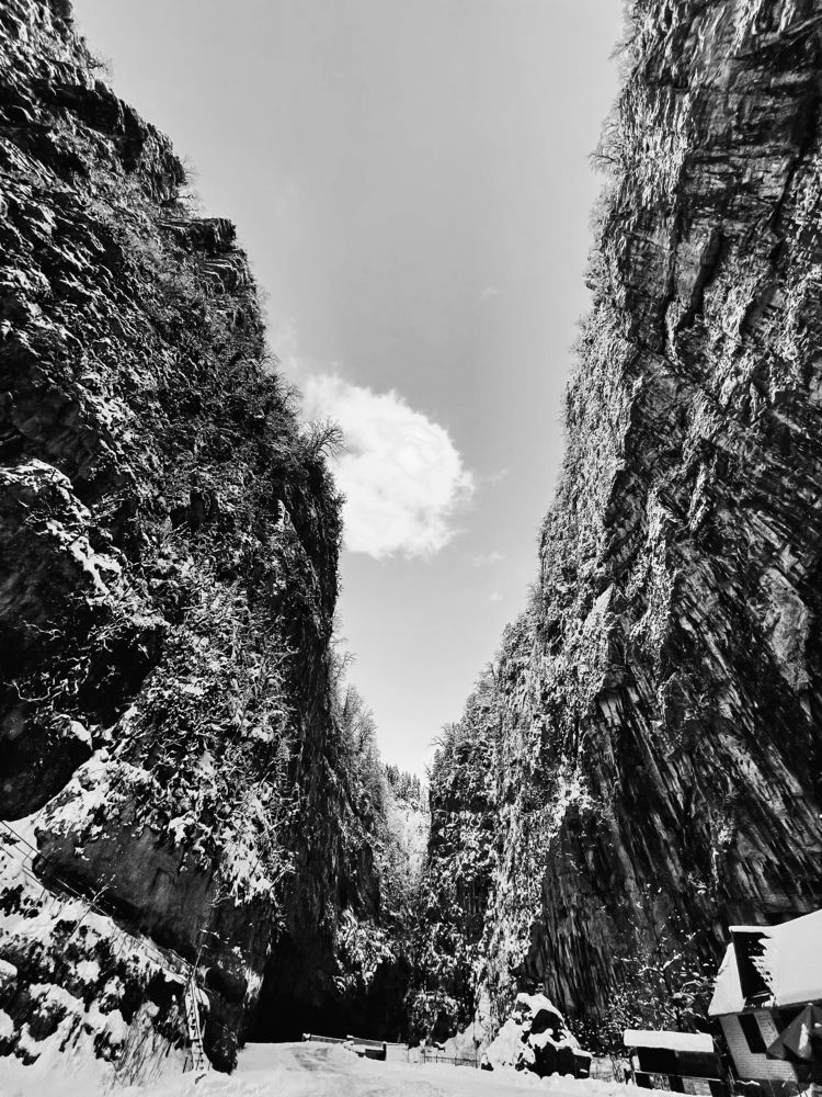 Фотография автора Виктория Калганова