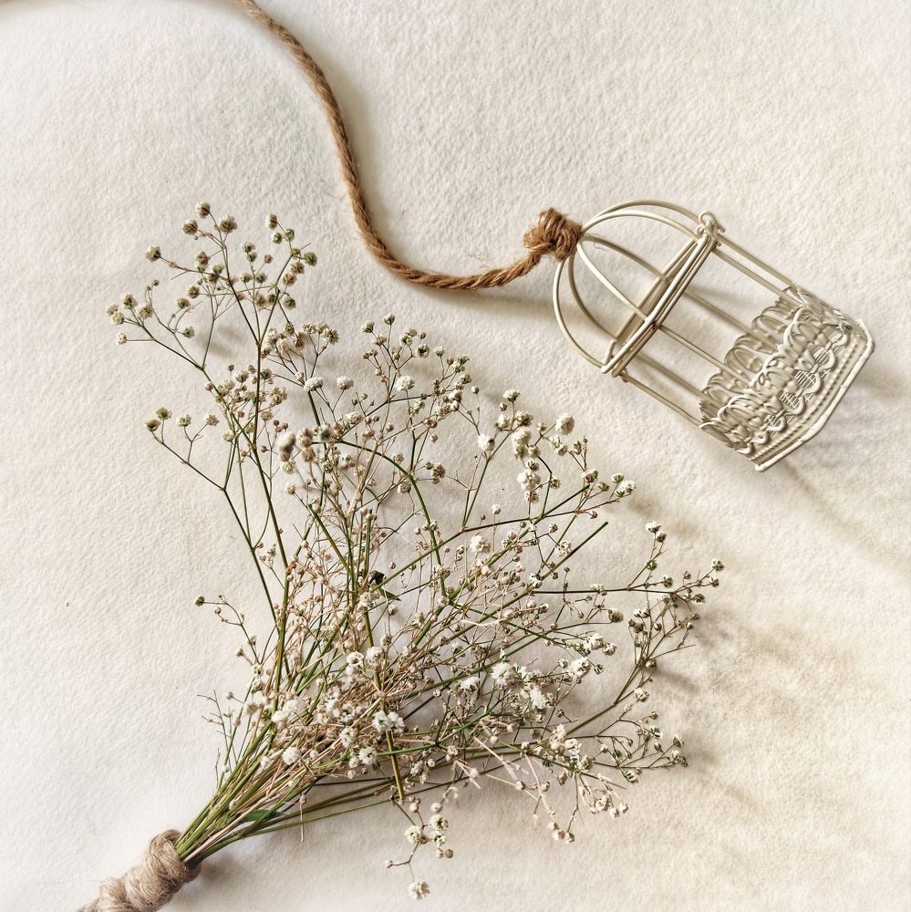 Photograph by Maryam Soleymani