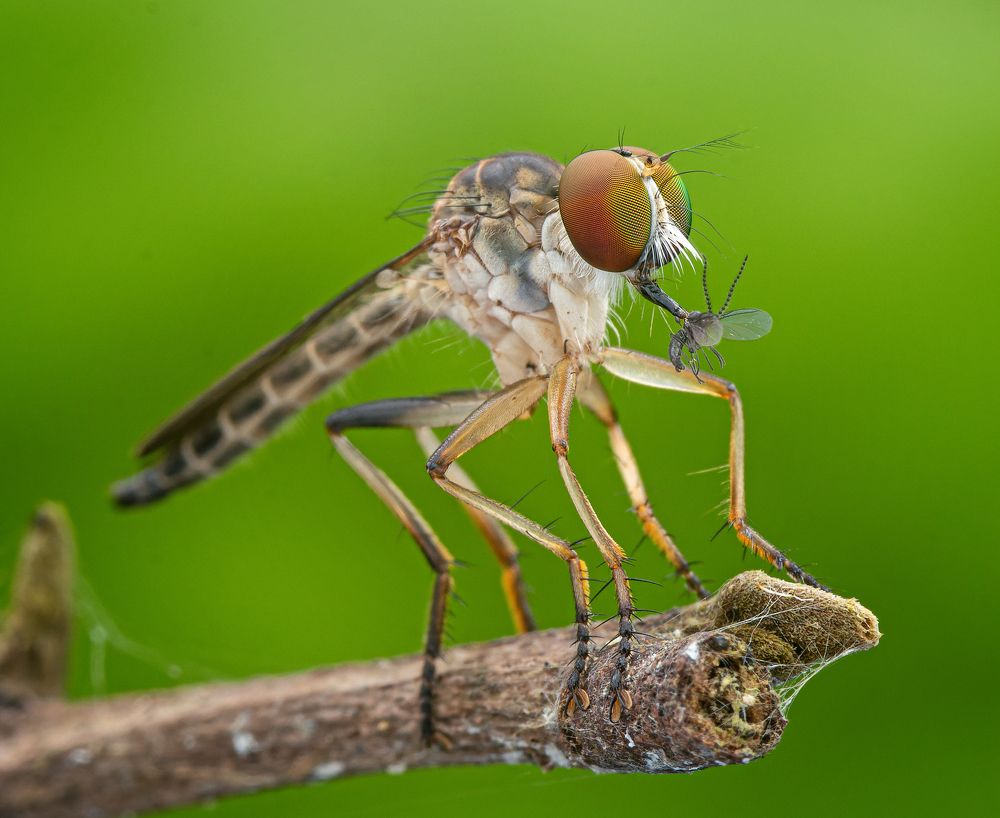 Photograph by TIAN CHING TAN