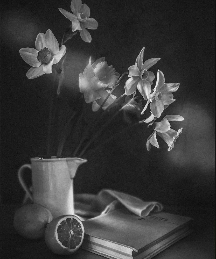 Photograph by Виктория Косинская