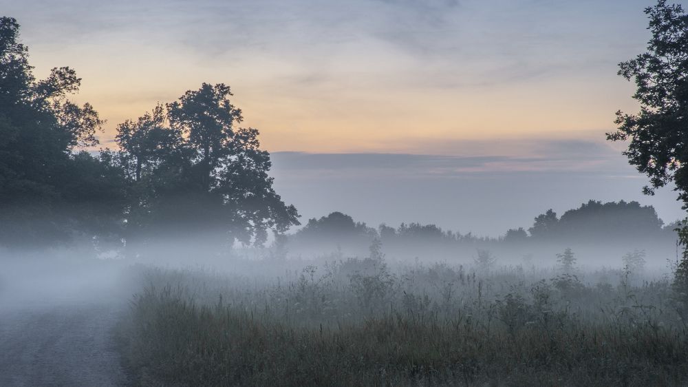 Photograph by АНДРЕЙ АБАКУМОВ