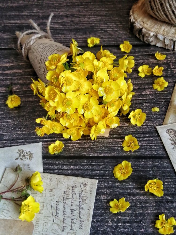 Фотография автора Fotolove Tasha