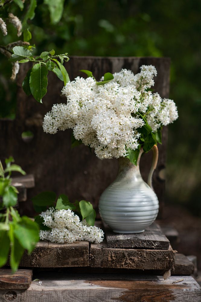 Photograph by Юлия Борт