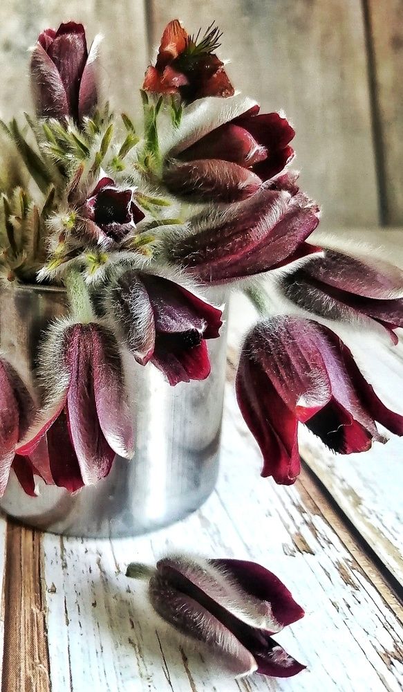 Фотография автора Fotolove Tasha