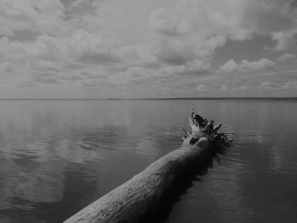 Photograph by Светлана Батурова