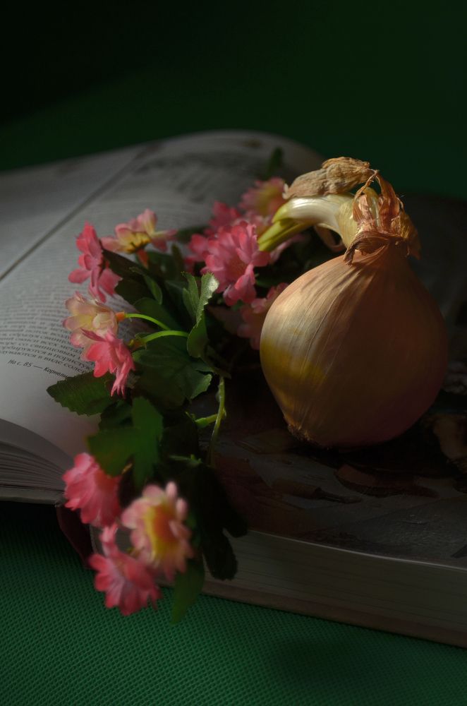 Энциклопедия Средневековья.