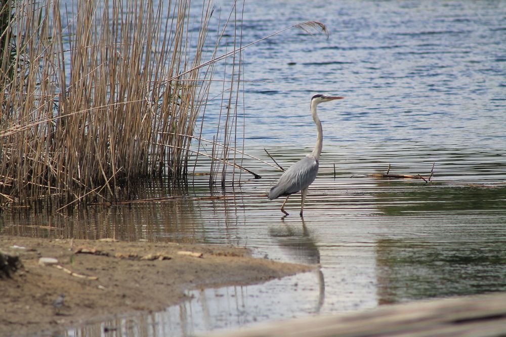 Photograph by Марина Кравцова