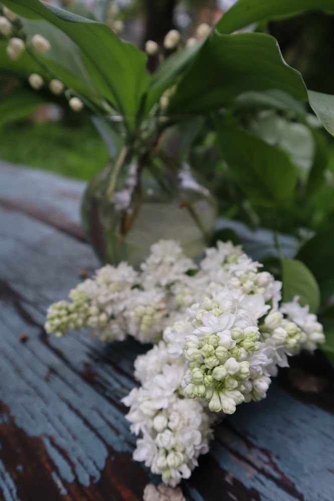 Photograph by Аліса Чарівна