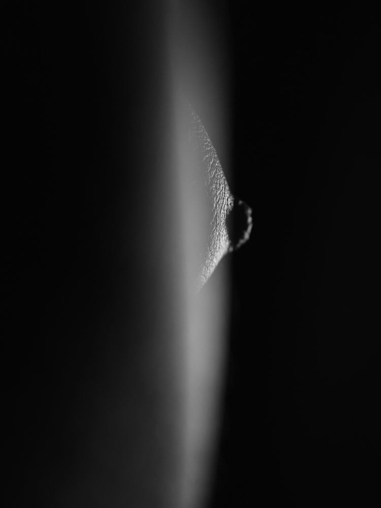 Фотография автора Алексей Шрайбик