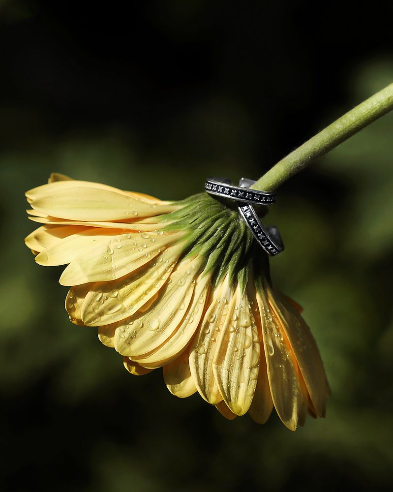 Photograph by Priti Tiwari