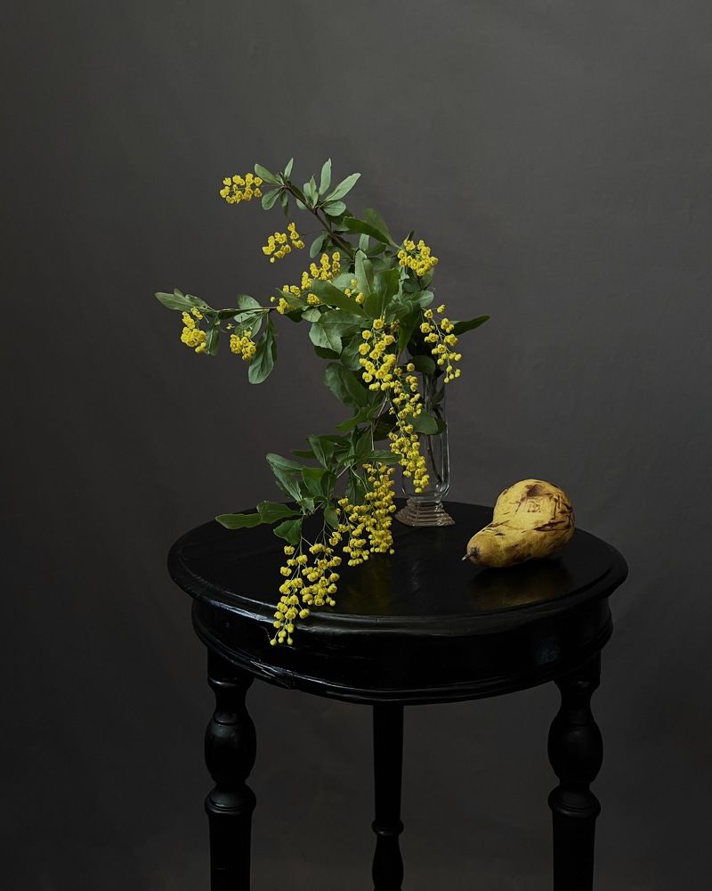 Photograph by Логинова Наталия