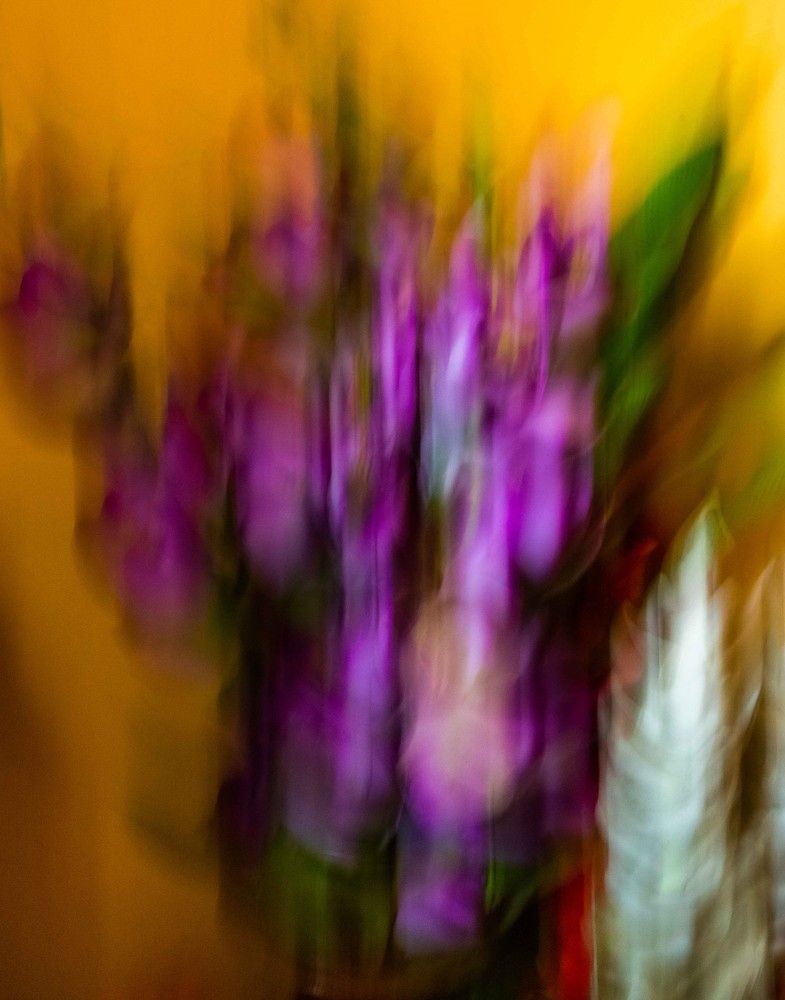 Photograph by Mahmud Tareq Khan