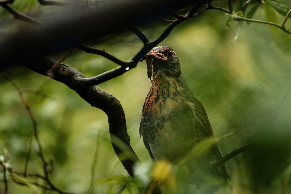 Photograph by Никита Червинский