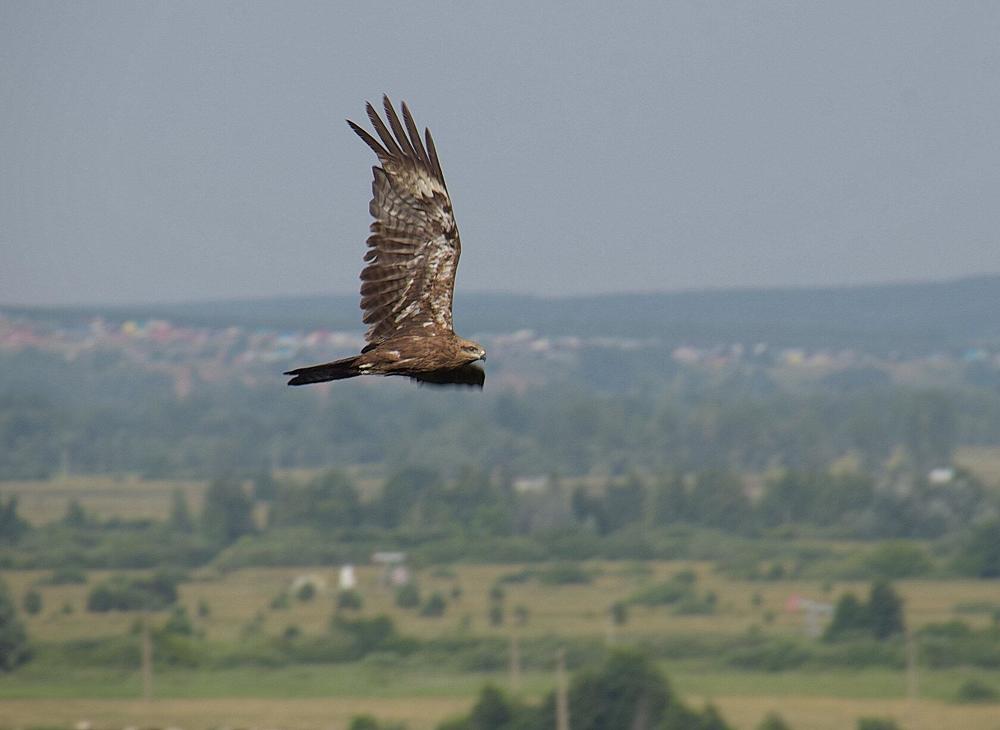 Photograph by Василий Быстрицкий