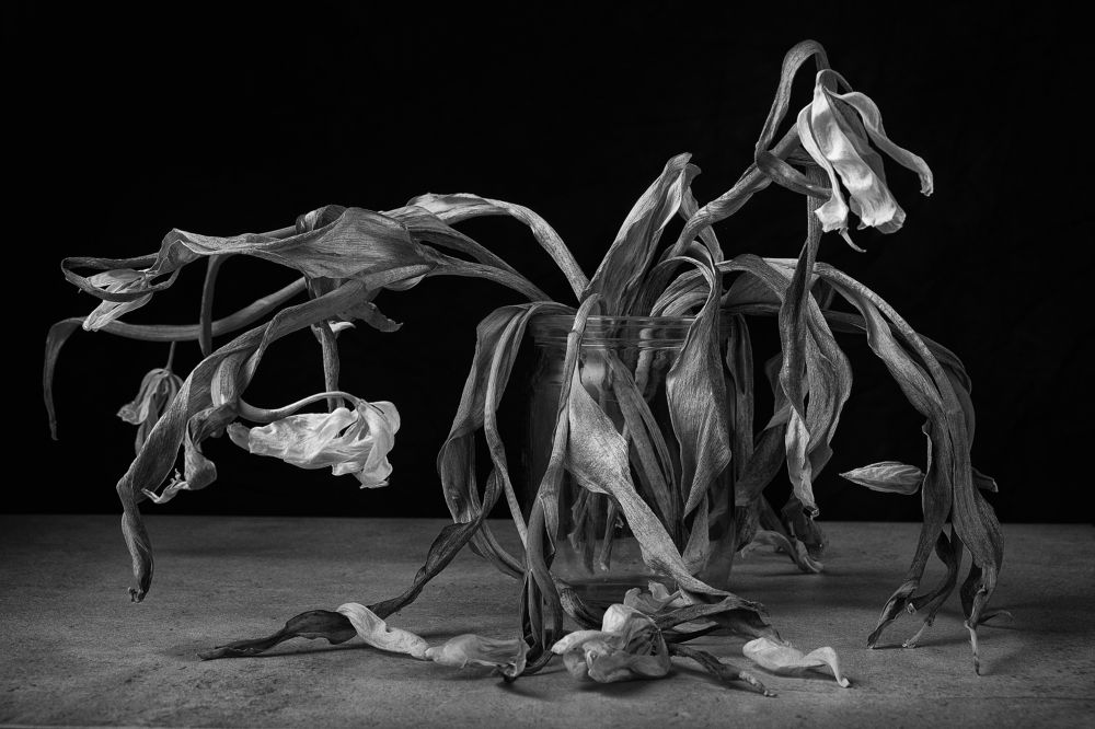 Photograph by Валерий