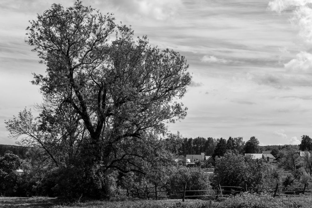 Фотография автора Екатерина Шаманаева