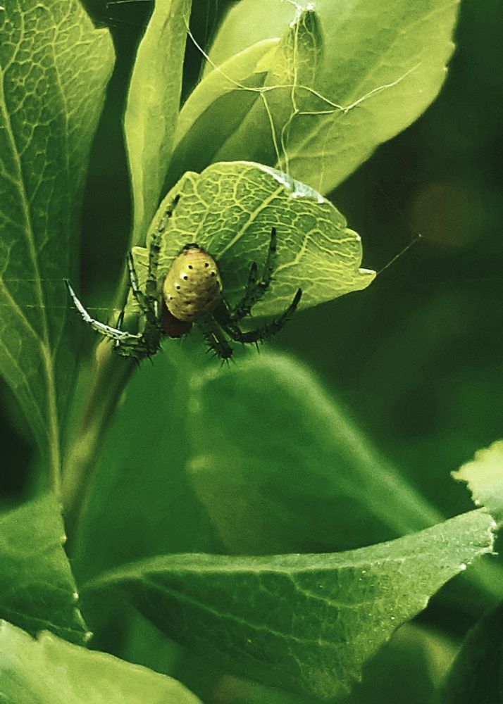 Photograph by Ольга