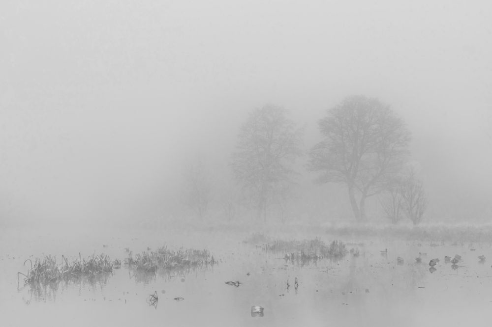 Photograph by Руслан Орлов