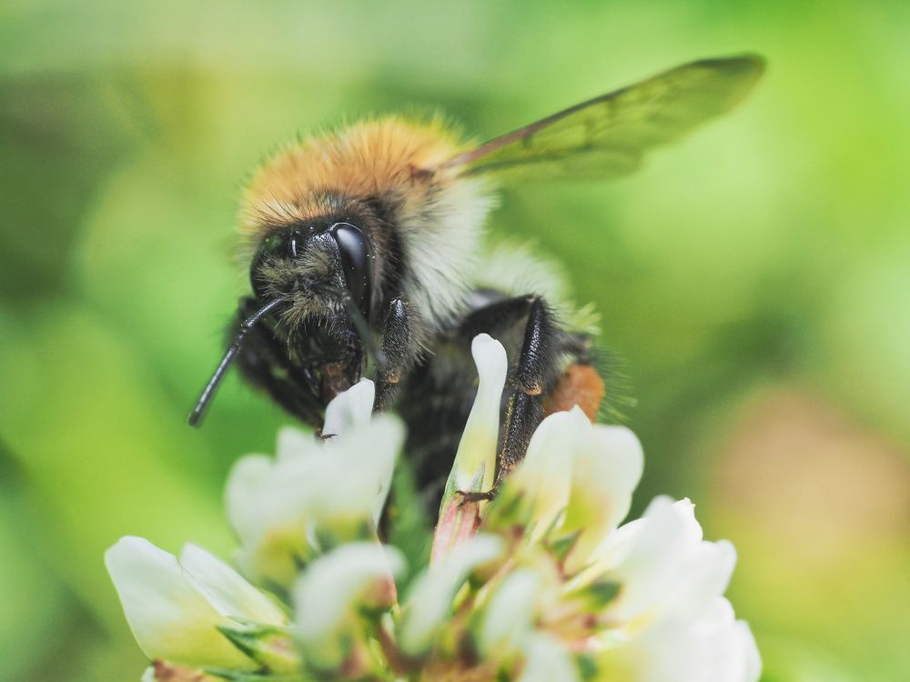 Photograph by Ирина Протченко
