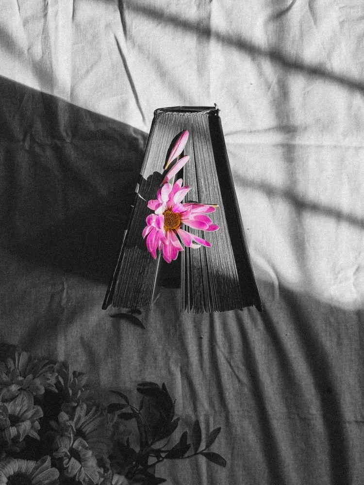 Photograph by Юлия