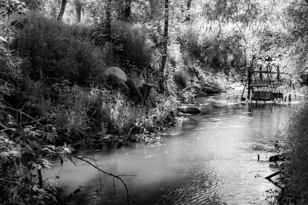 Photograph by Галина Аскольдовна Луковникова