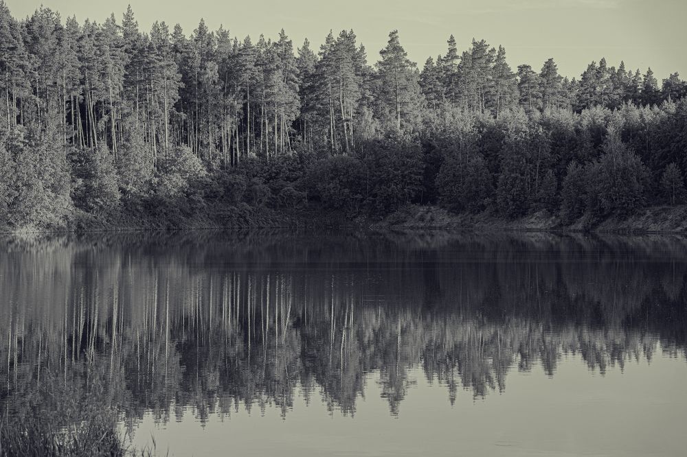 Photograph by Дарья Гурьева