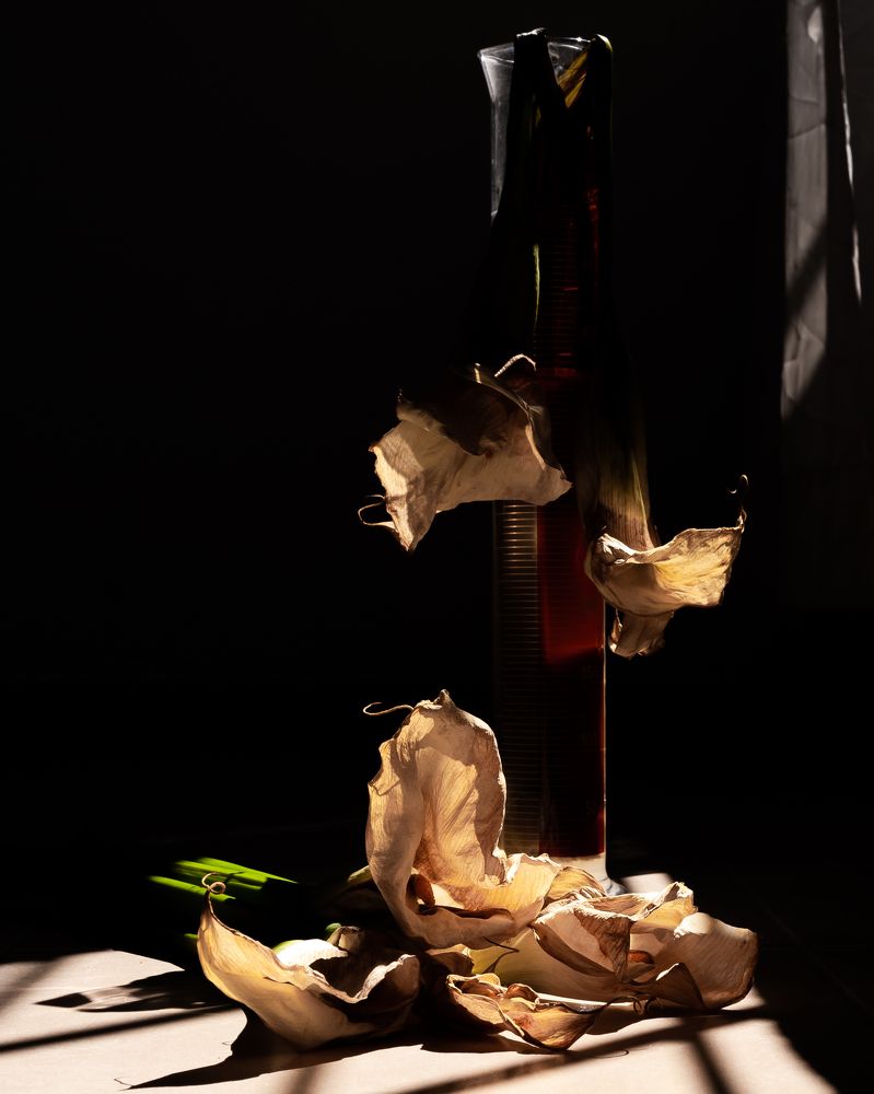 Photograph by Armando Lopez-Guerrero