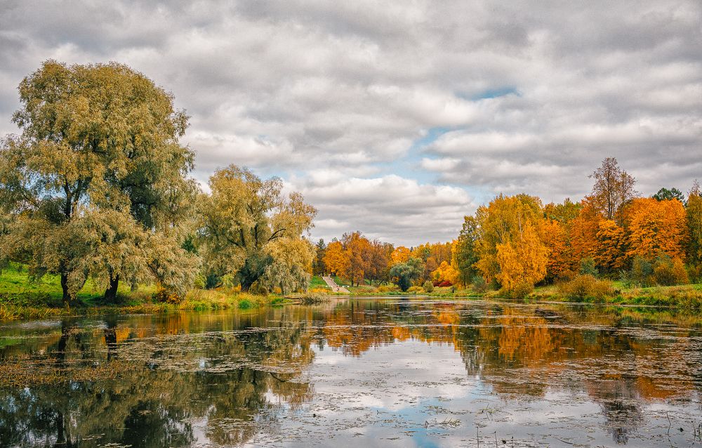 Краски осени...