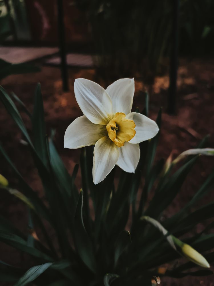 Photograph by Валерия Бойко