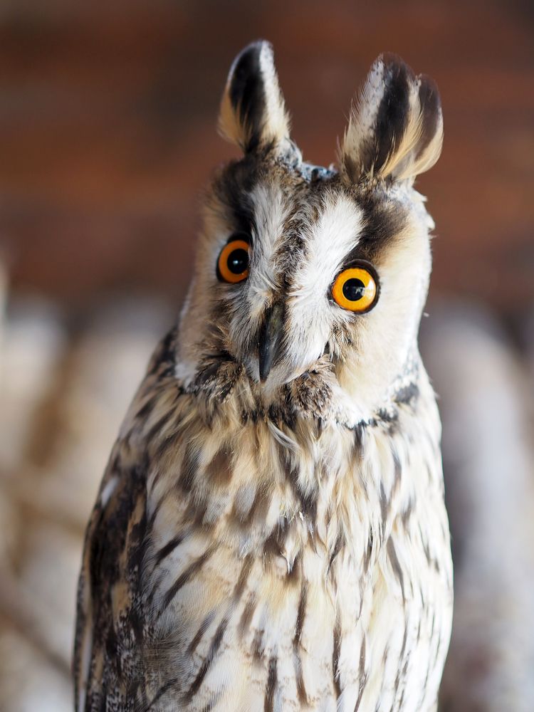 Photograph by Екатерина Бердутина