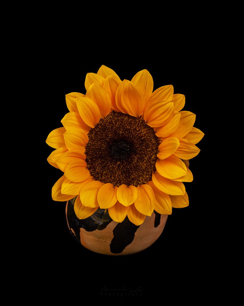 Photograph by Armando Lopez-Guerrero