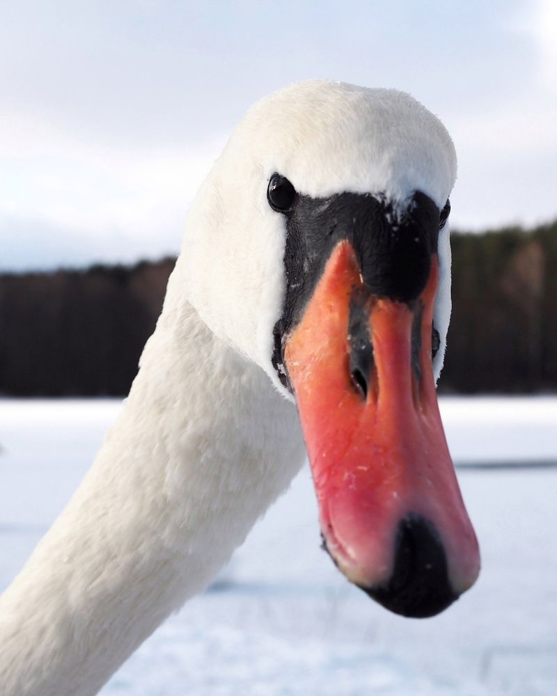 Photograph by Екатерина Бердутина