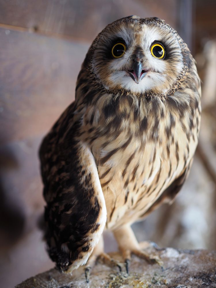 Photograph by Екатерина Бердутина