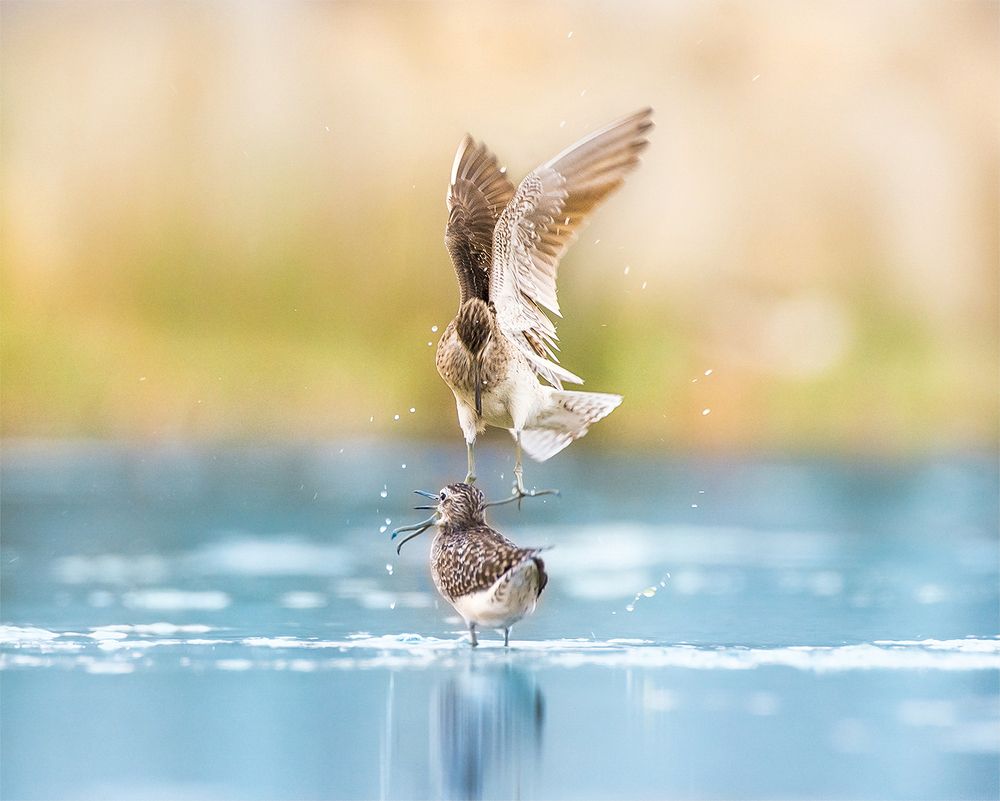 Photograph by Tushar Ambadkar