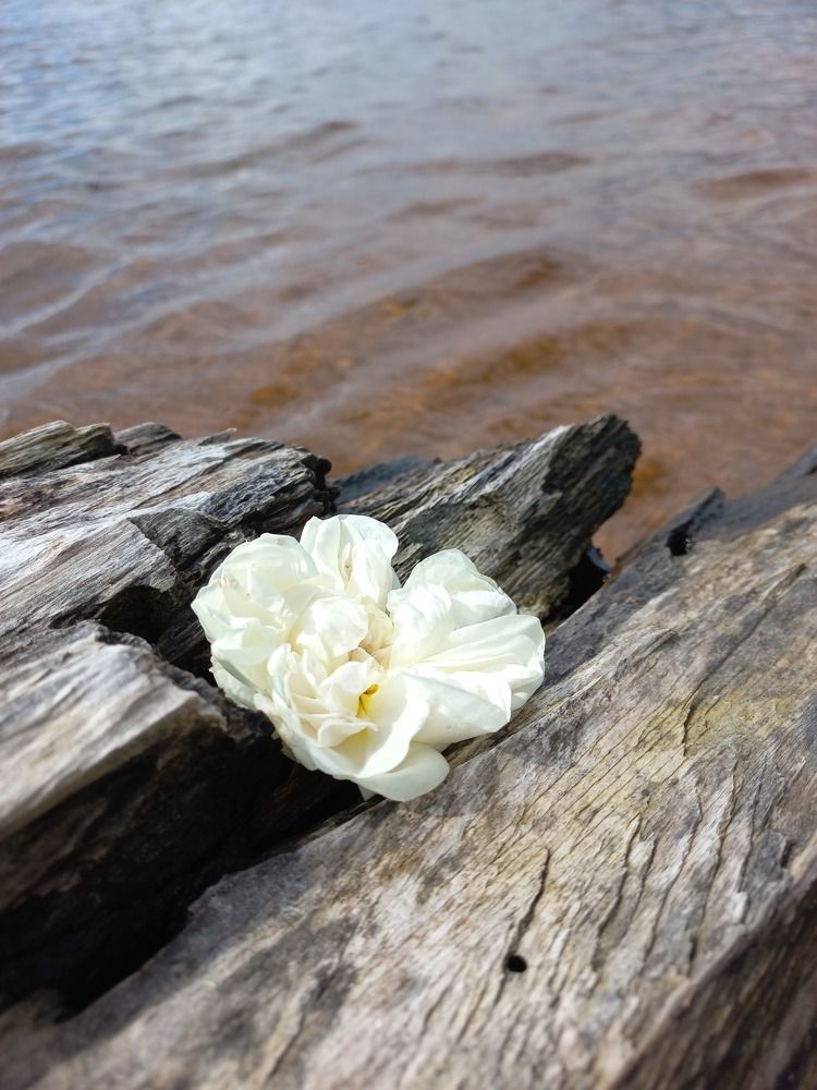 Photograph by Зоя Кулько