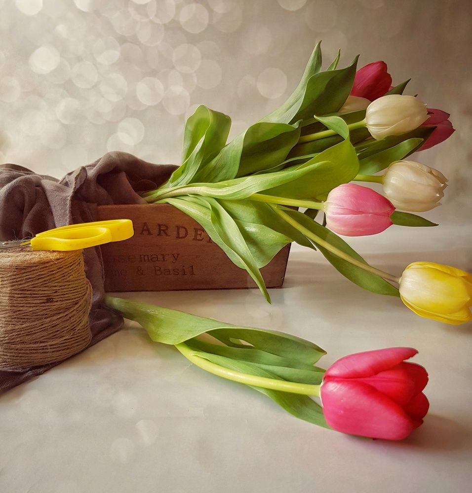 Фотография автора amal ahmed