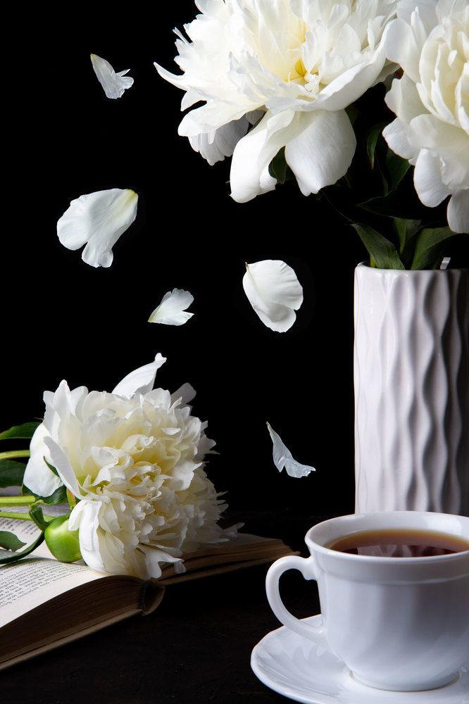 Photograph by Елизавета