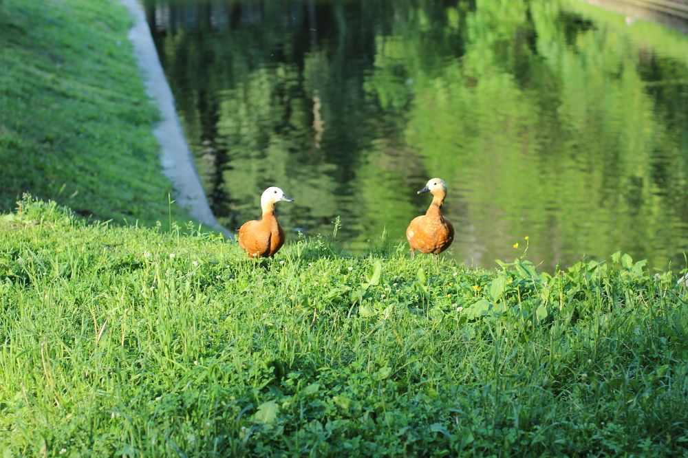 Photograph by Alyona Pravel’eva